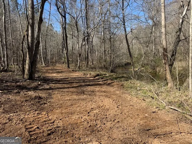 600 Yarbrough RD Franklin, GA 30217