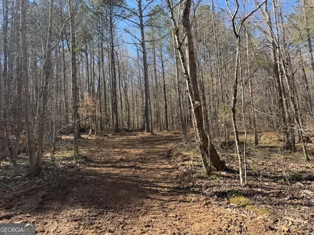 600 Yarbrough RD Franklin, GA 30217