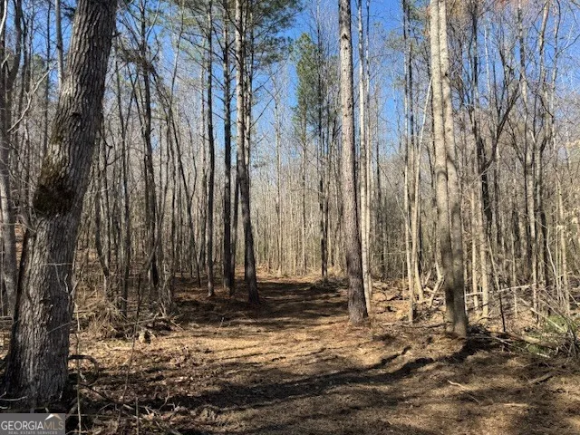 600 Yarbrough RD Franklin, GA 30217