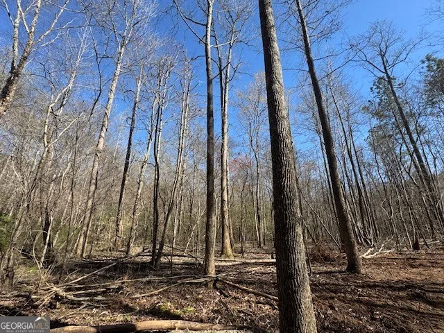 600 Yarbrough RD Franklin, GA 30217