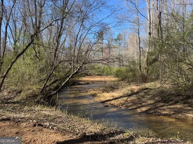 600 Yarbrough RD Franklin, GA 30217