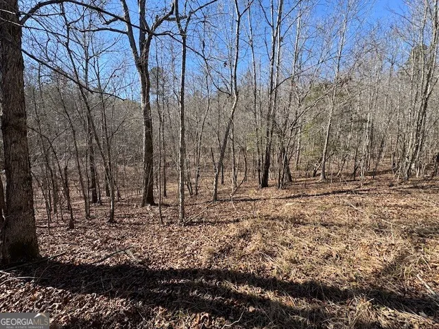 600 Yarbrough RD Franklin, GA 30217