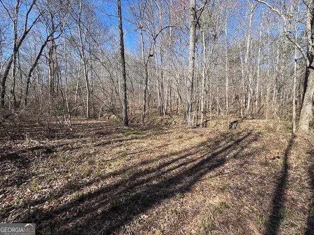 600 Yarbrough RD Franklin, GA 30217