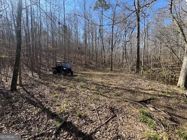 600 Yarbrough RD Franklin, GA 30217