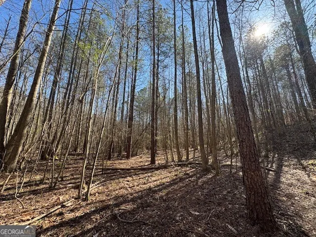 600 Yarbrough RD Franklin, GA 30217