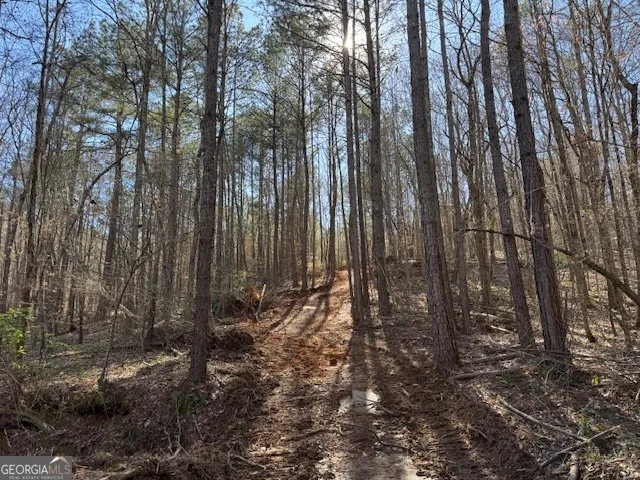 600 Yarbrough RD Franklin, GA 30217