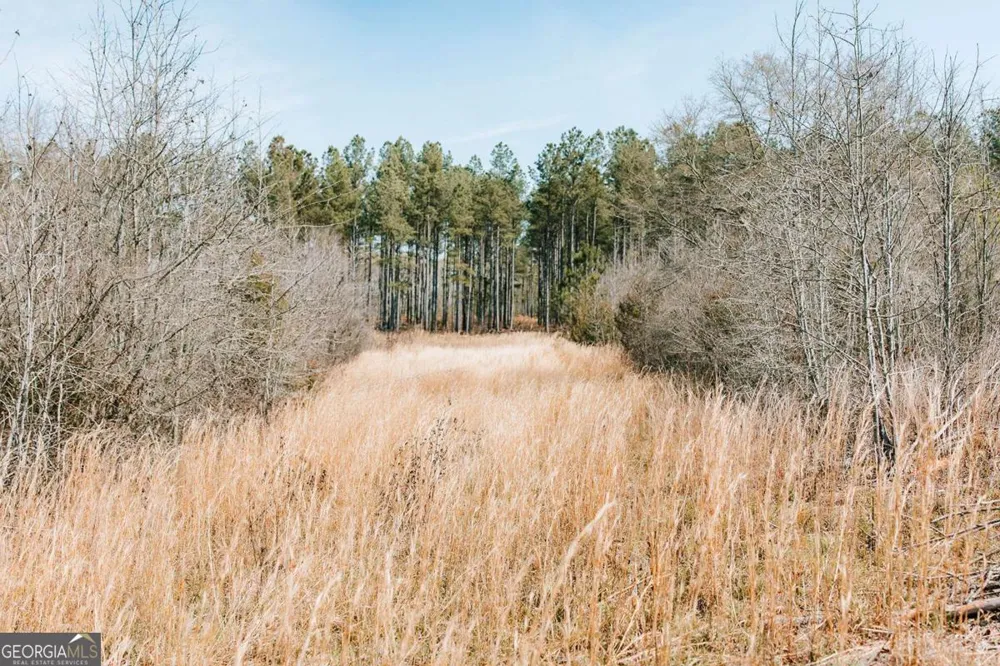 0 Washington RD Lexington, GA 30648
