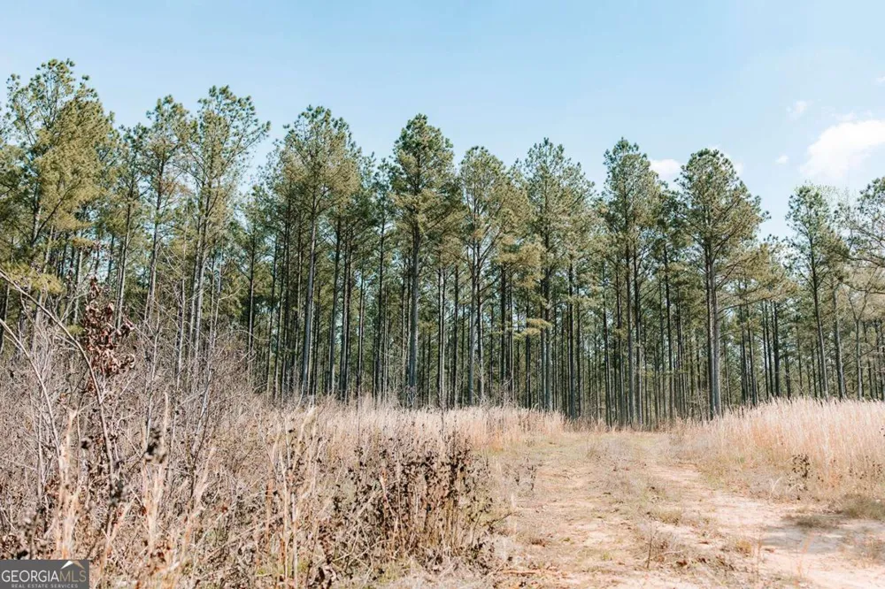0 Washington RD Lexington, GA 30648