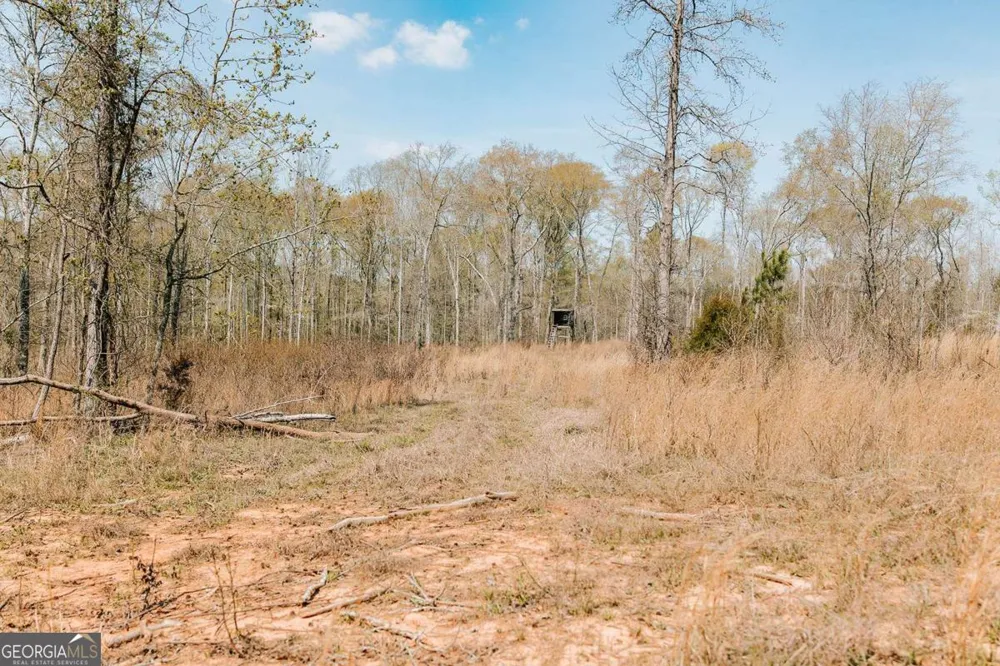 0 Washington RD Lexington, GA 30648