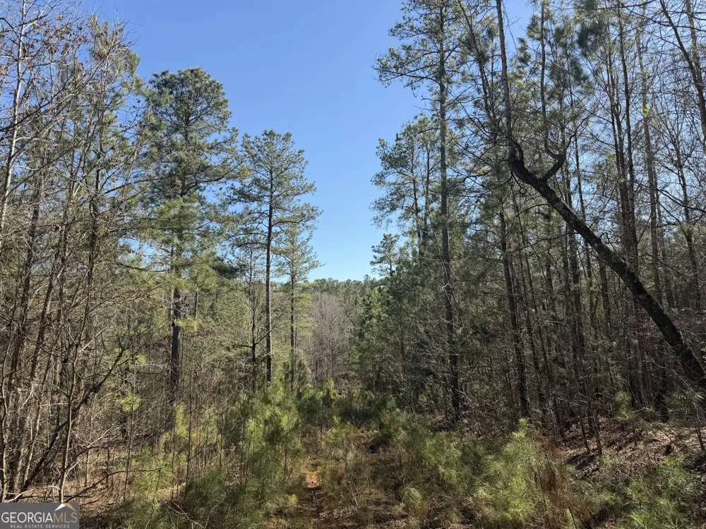 0 John Rucker RD Elberton, GA 30635