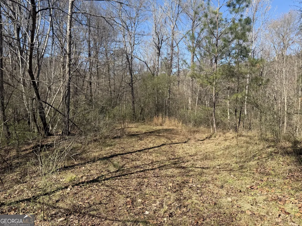 0 John Rucker RD Elberton, GA 30635