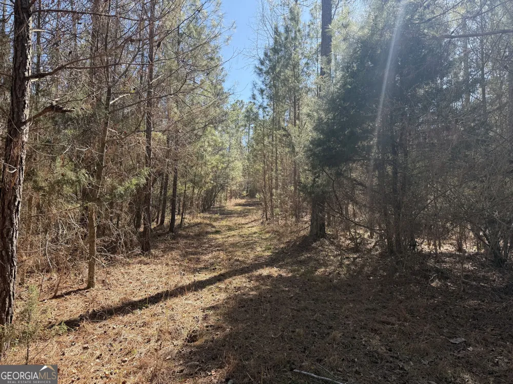 0 John Rucker RD Elberton, GA 30635