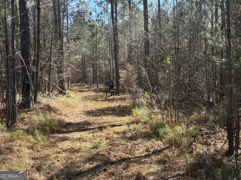 0 John Rucker RD Elberton, GA 30635