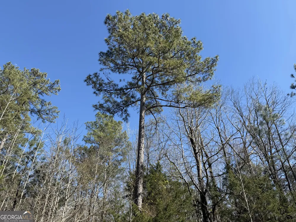 0 John Rucker RD Elberton, GA 30635