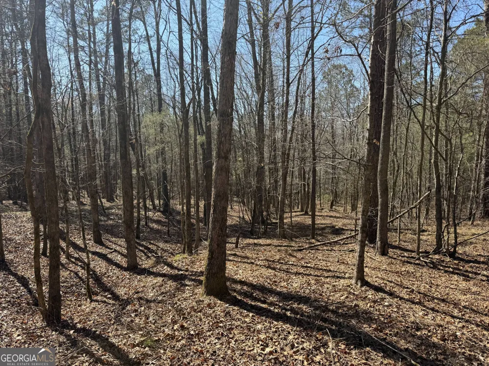 0 John Rucker RD Elberton, GA 30635