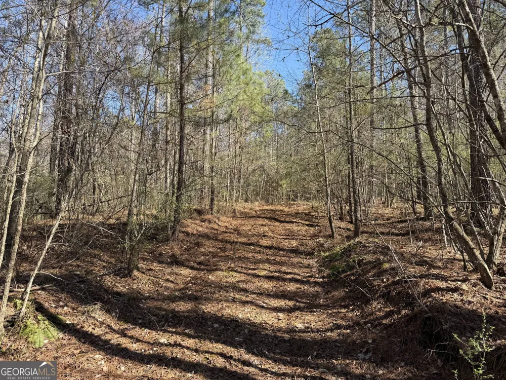 0 John Rucker RD Elberton, GA 30635