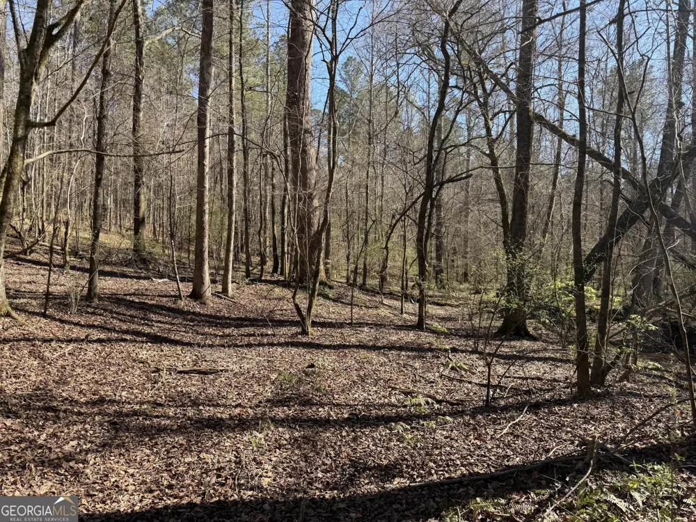 0 John Rucker RD Elberton, GA 30635