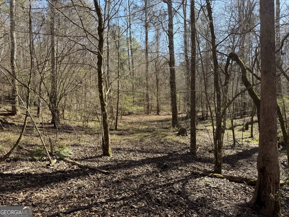 0 John Rucker RD Elberton, GA 30635