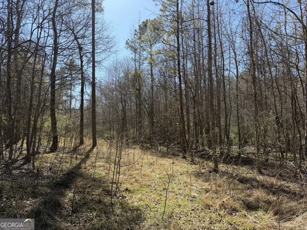 0 John Rucker RD Elberton, GA 30635