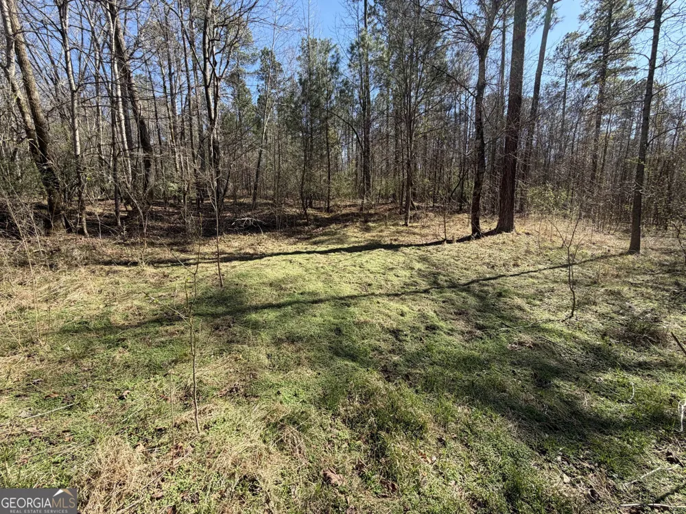 0 John Rucker RD Elberton, GA 30635