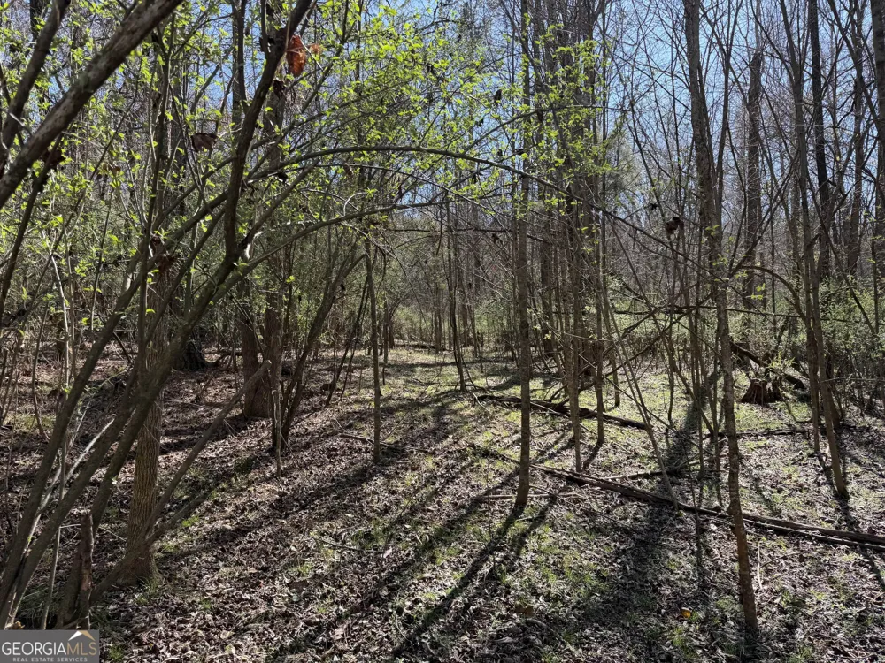 0 John Rucker RD Elberton, GA 30635