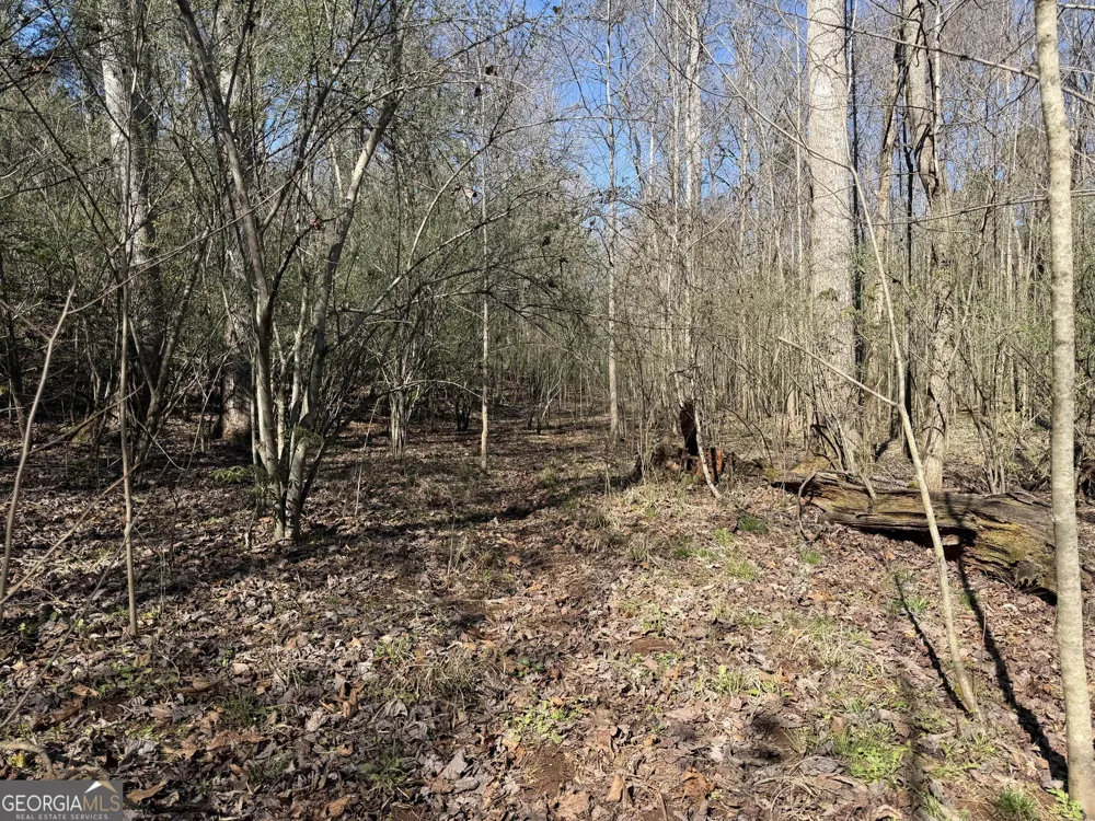 0 John Rucker RD Elberton, GA 30635