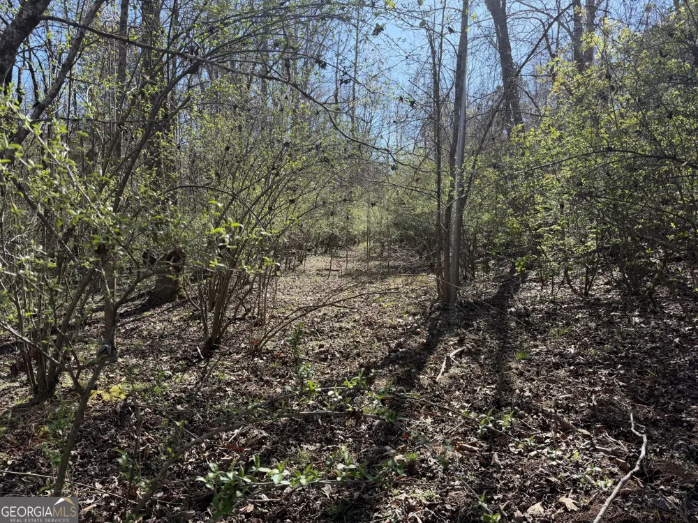 0 John Rucker RD Elberton, GA 30635
