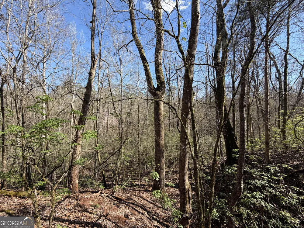 0 John Rucker RD Elberton, GA 30635