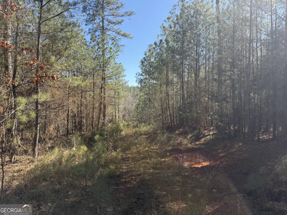 0 John Rucker RD Elberton, GA 30635
