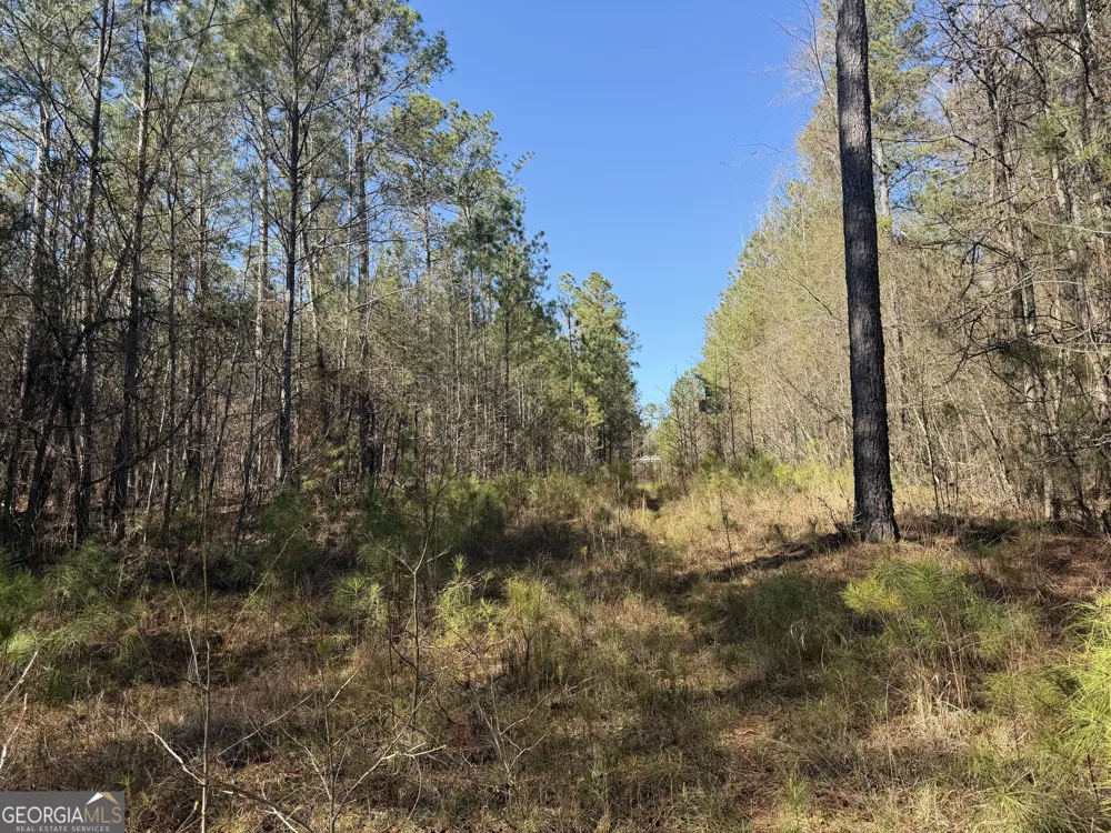 0 John Rucker RD Elberton, GA 30635