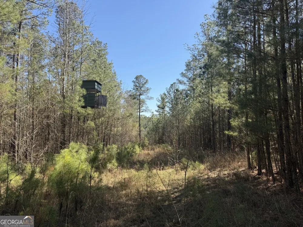 0 John Rucker RD Elberton, GA 30635