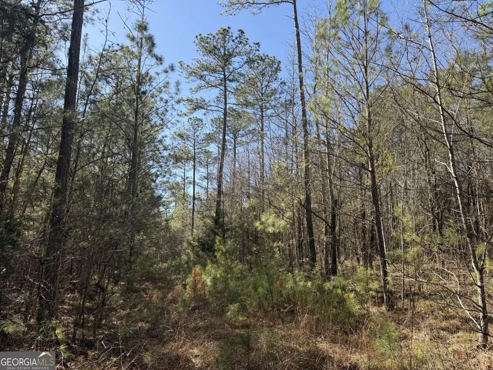 0 John Rucker RD Elberton, GA 30635