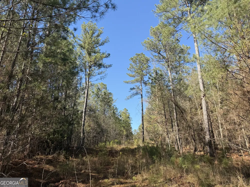 0 John Rucker RD Elberton, GA 30635