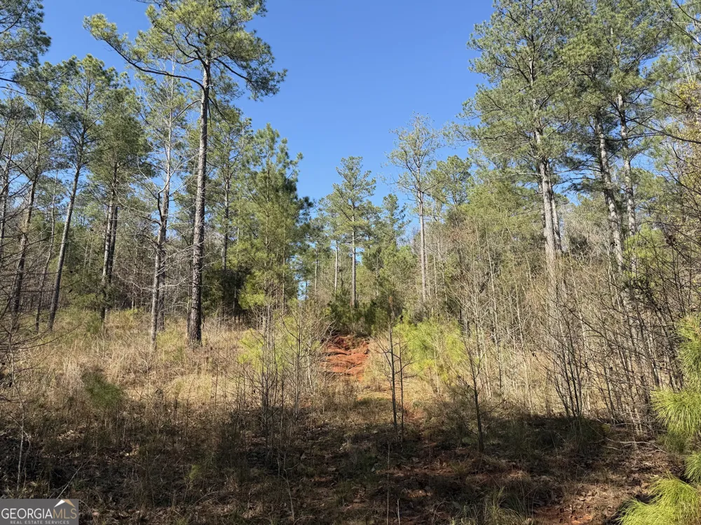 0 John Rucker RD Elberton, GA 30635