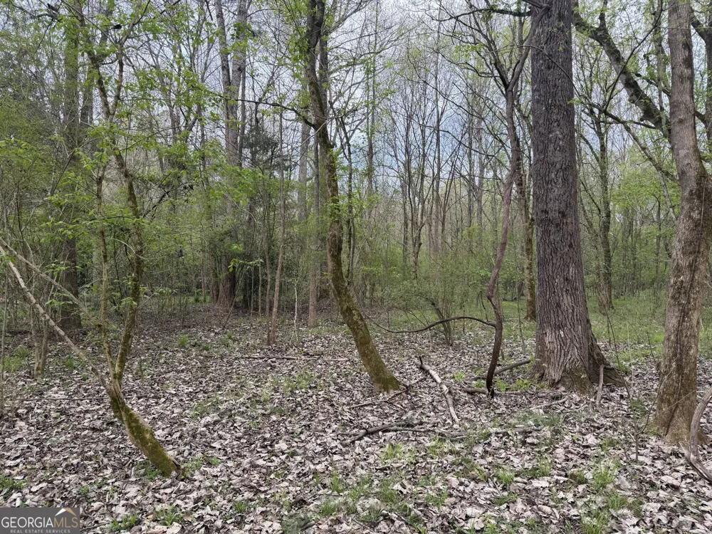 0 John Rucker RD Elberton, GA 30635