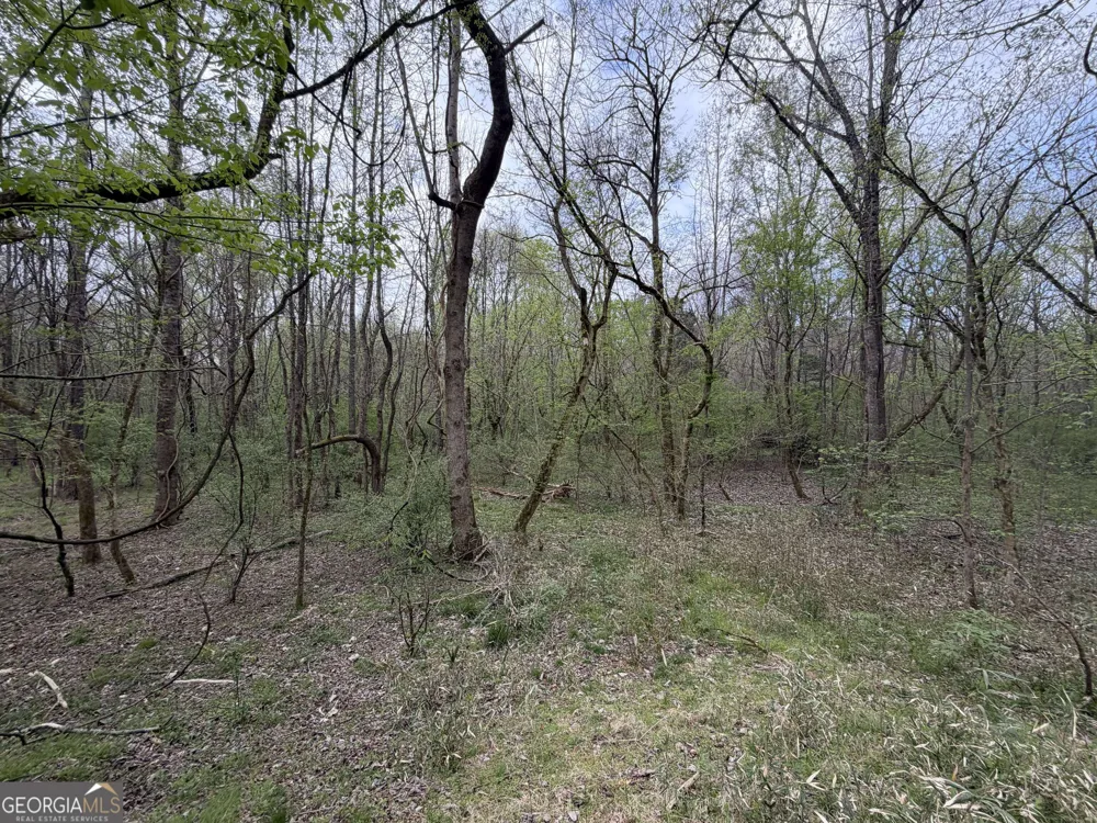 0 John Rucker RD Elberton, GA 30635