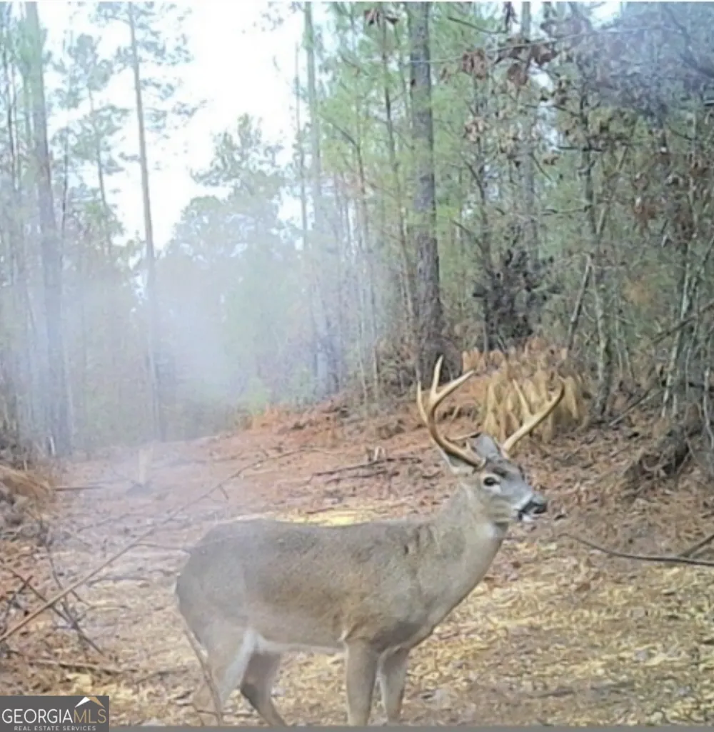 0 John Rucker RD Elberton, GA 30635