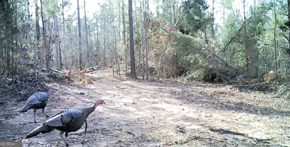 0 John Rucker RD Elberton, GA 30635