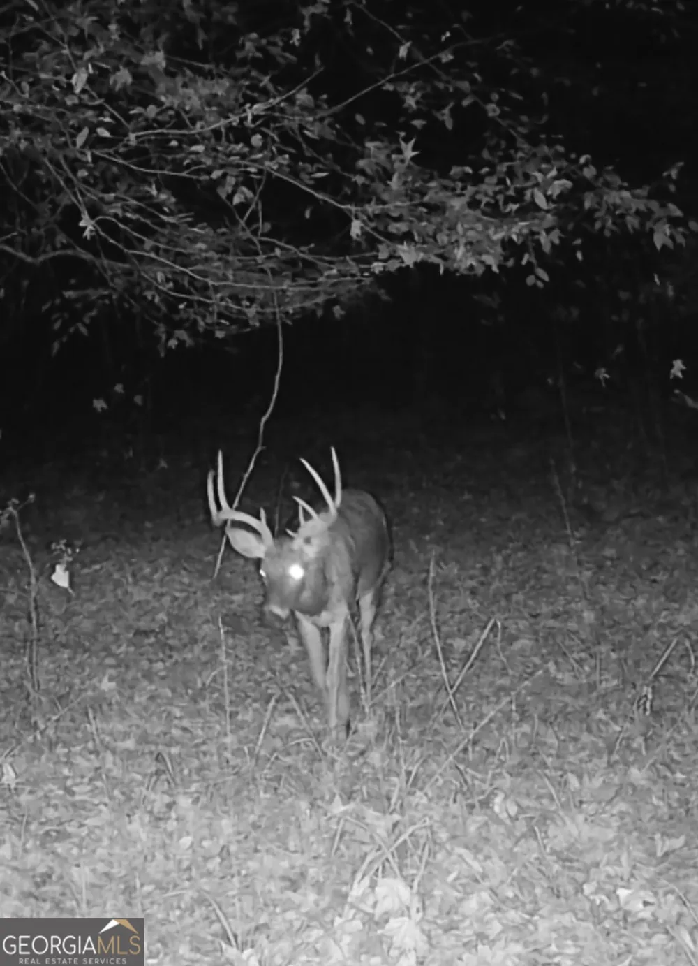 0 John Rucker RD Elberton, GA 30635