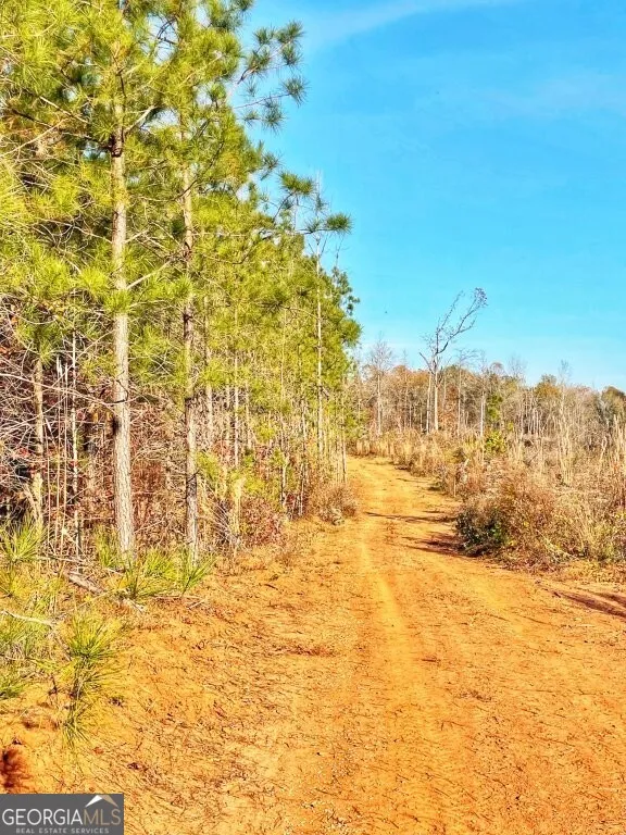 4843 Greer RD Hillsboro, GA 31038