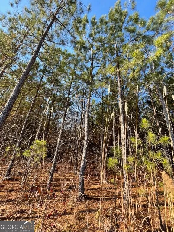 4843 Greer RD Hillsboro, GA 31038
