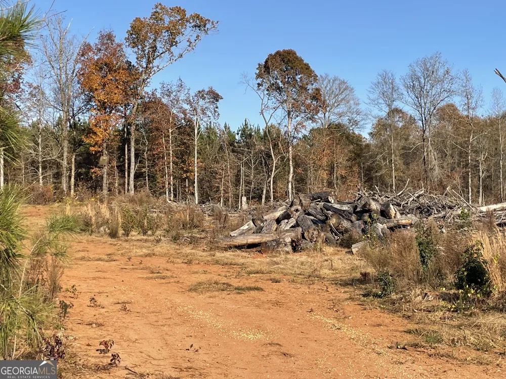 4843 Greer RD Hillsboro, GA 31038