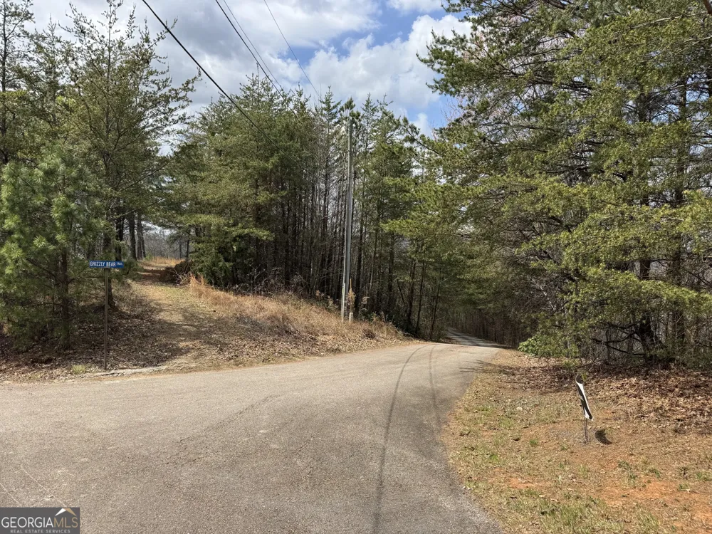 0 Grizzly Bear TRL Sautee Nacoochee, GA 30571