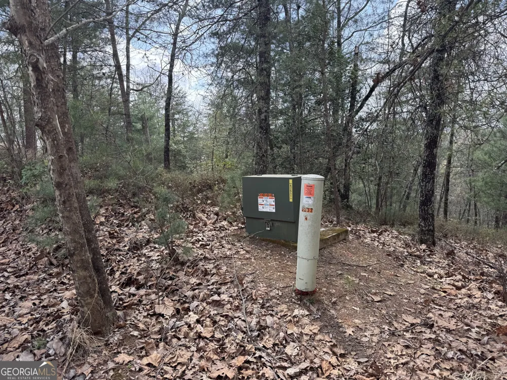 0 Grizzly Bear TRL Sautee Nacoochee, GA 30571