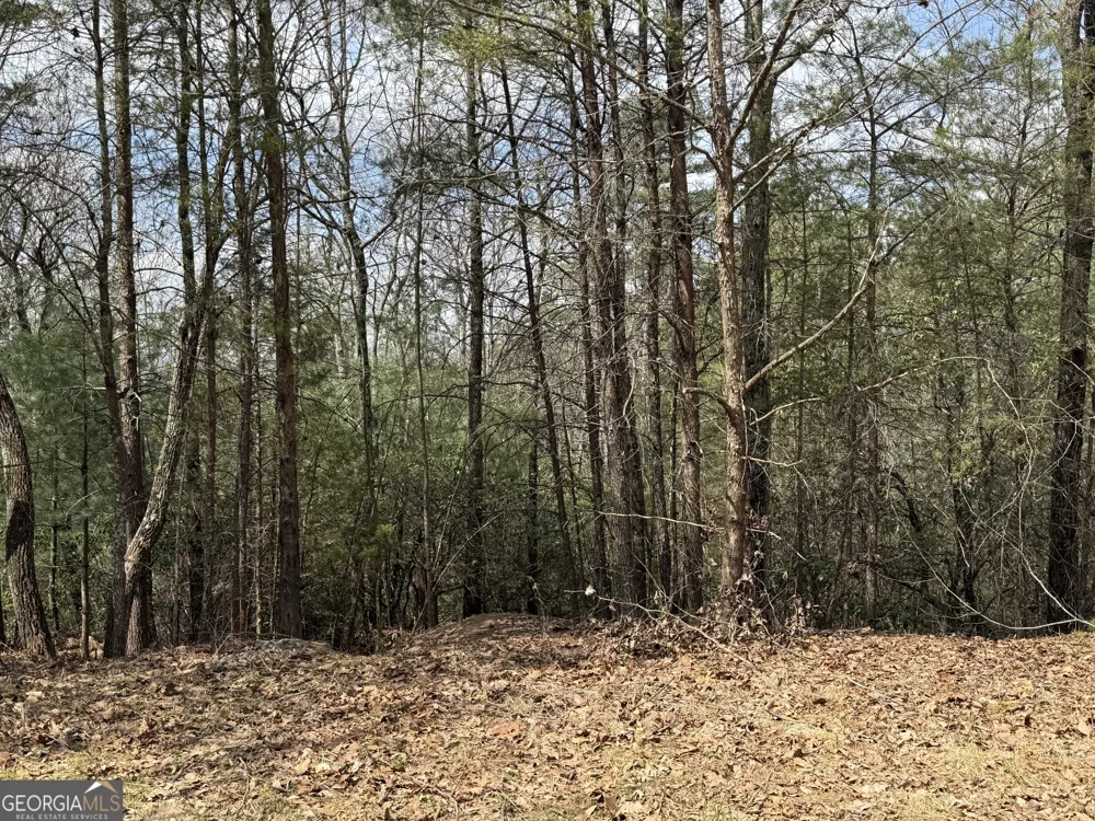 0 Grizzly Bear TRL Sautee Nacoochee, GA 30571