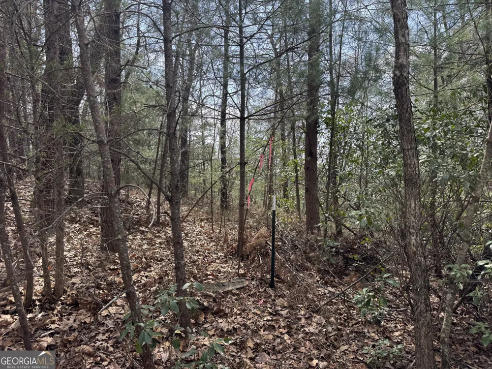 0 Grizzly Bear TRL Sautee Nacoochee, GA 30571