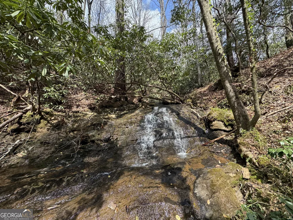 0 Grizzly Bear TRL Sautee Nacoochee, GA 30571