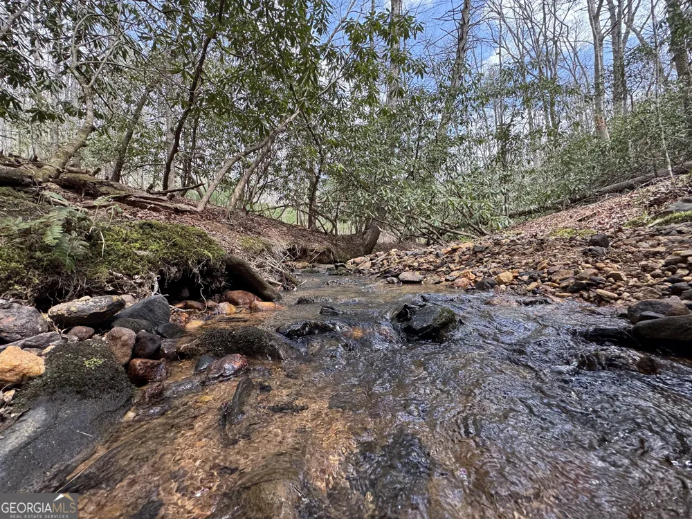 0 Grizzly Bear TRL Sautee Nacoochee, GA 30571