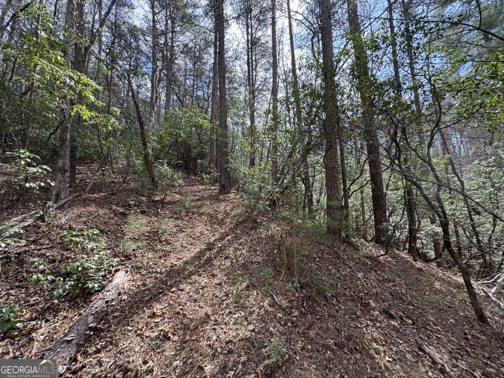 0 Grizzly Bear TRL Sautee Nacoochee, GA 30571