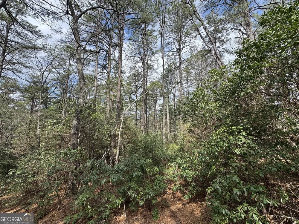 0 Grizzly Bear TRL Sautee Nacoochee, GA 30571
